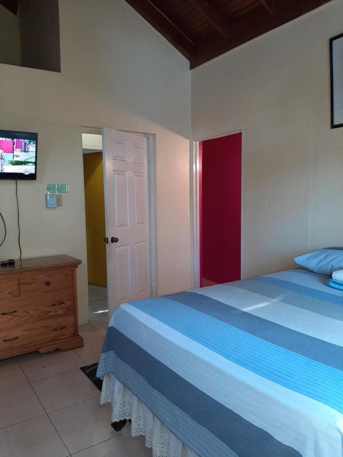 Dancehall Hostel キングストン エクステリア 写真